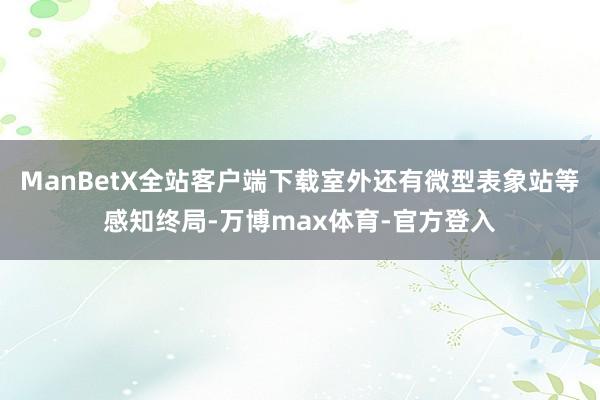 ManBetX全站客户端下载室外还有微型表象站等感知终局-万博max体育-官方登入