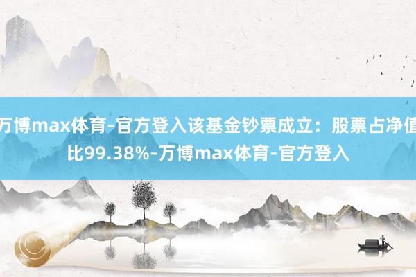 万博max体育-官方登入该基金钞票成立：股票占净值比99.38%-万博max体育-官方登入